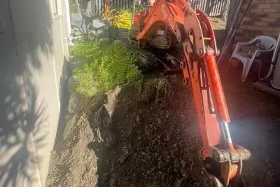 clearing vegetation Gold Coast clearing vegetation Gold Coast