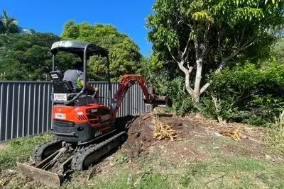 removing tree stumps removing tree stumps